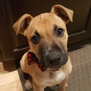 Meet your Posher, Catriona